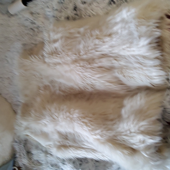 Faux Fur Vest - Picture 3 of 5